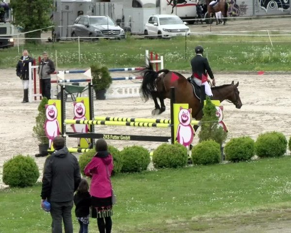 Reitturnier Basel Schänzli 2021