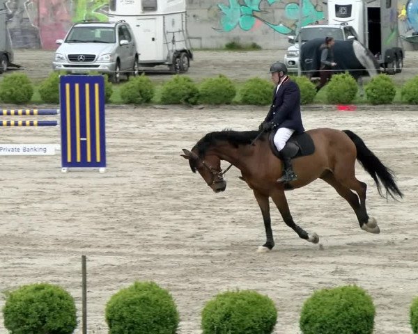 Reitturnier Basel Schänzli 2021