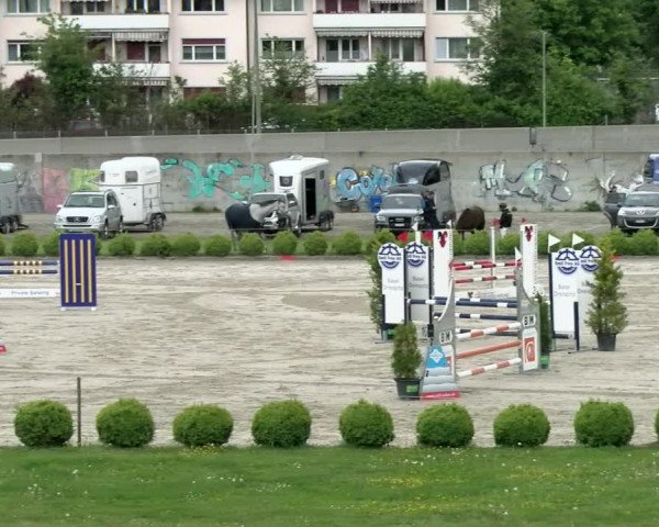 Reitturnier Basel Schänzli 2021