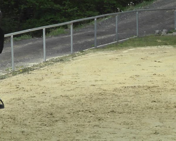 Reitturnier Kurtscheid 2021