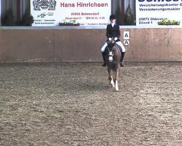 dressage horse Mackintosh BL (German Riding Pony, 1996, from Brooklands Moonwalker)