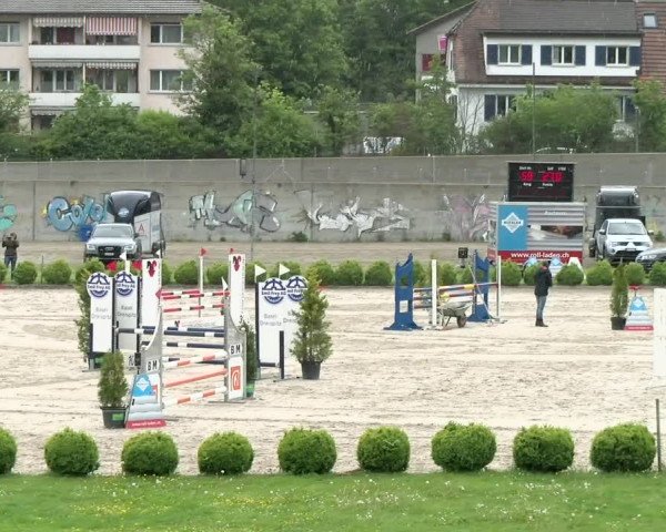 Reitturnier Basel Schänzli 2021