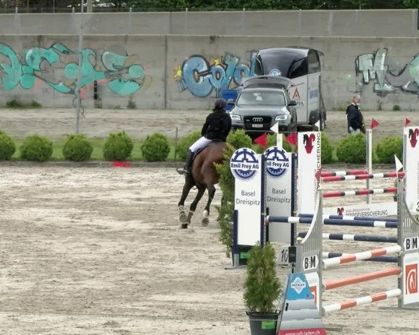 Reitturnier Basel Schänzli 2021
