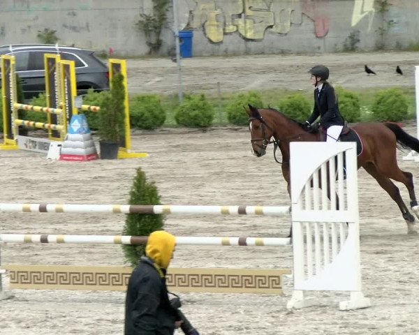 Reitturnier Basel Schänzli 2021