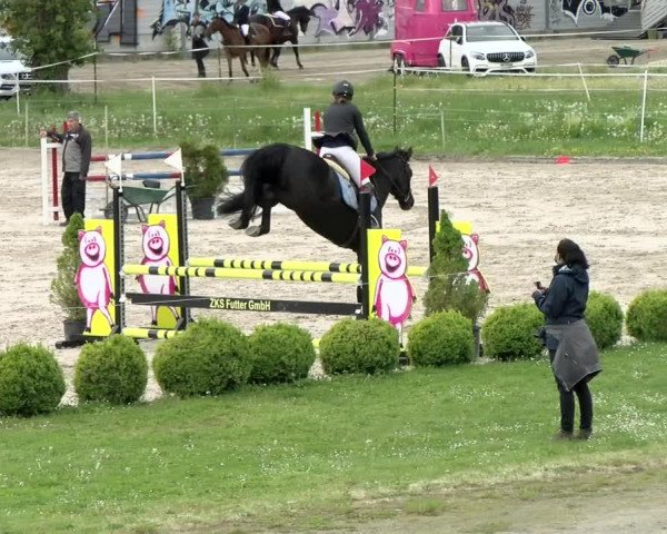 Reitturnier Basel Schänzli 2021