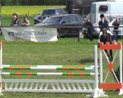 jumper Lou Sienna (Holsteiner, 2002, from Loutano)