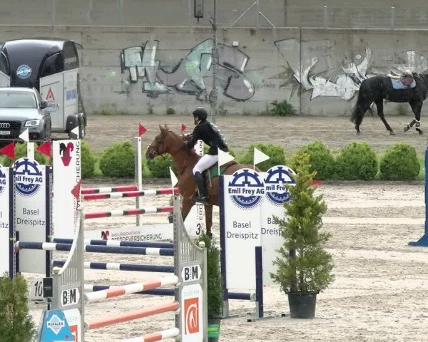 Reitturnier Basel Schänzli 2021