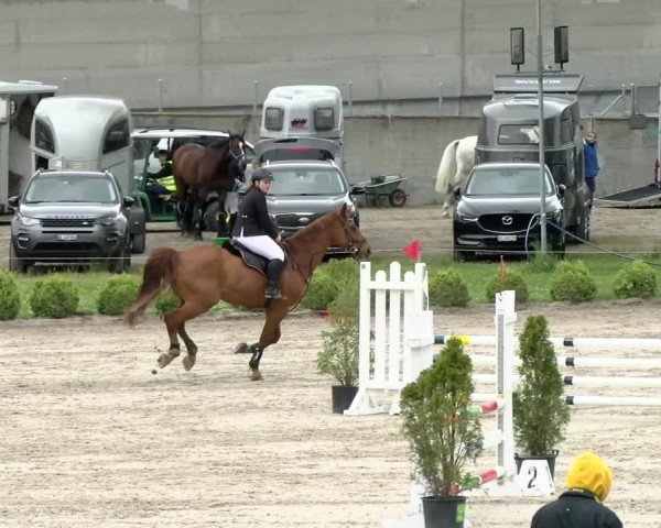Reitturnier Basel Schänzli 2021