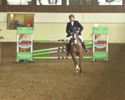 jumper Peggy Sue (Hanoverian, 2000, from Perpignon)
