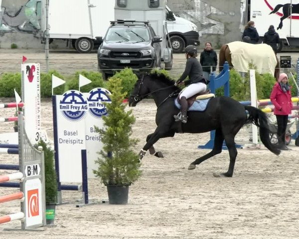 Reitturnier Basel Schänzli 2021