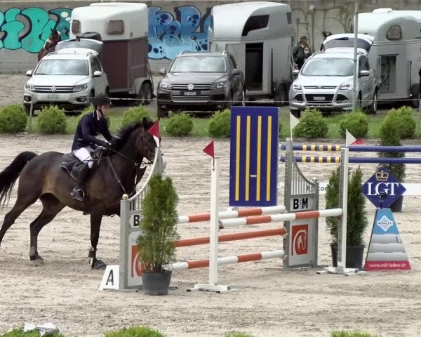 Reitturnier Basel Schänzli 2021