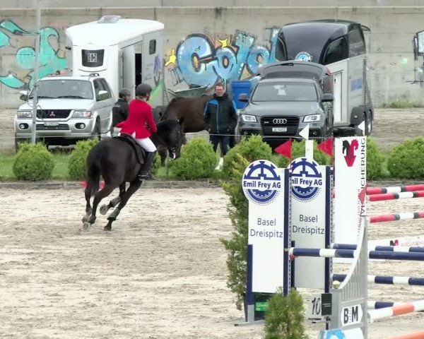 Reitturnier Basel Schänzli 2021
