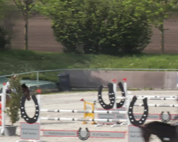 Reitturnier Harsum-Hüddessum 2021