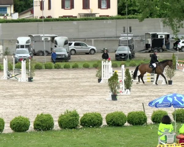 Reitturnier Basel Schänzli 2021