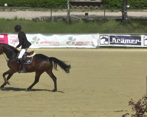Reitturnier Kurtscheid 2021