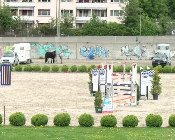 Reitturnier Basel Schänzli 2021