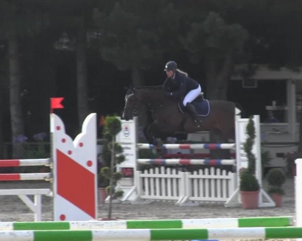 jumper Chica's Little W (Holsteiner, 2006, from Casiro I)