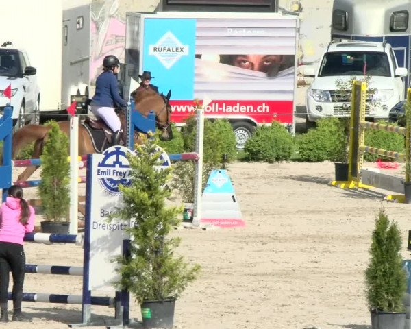 Reitturnier Basel Schänzli 2021