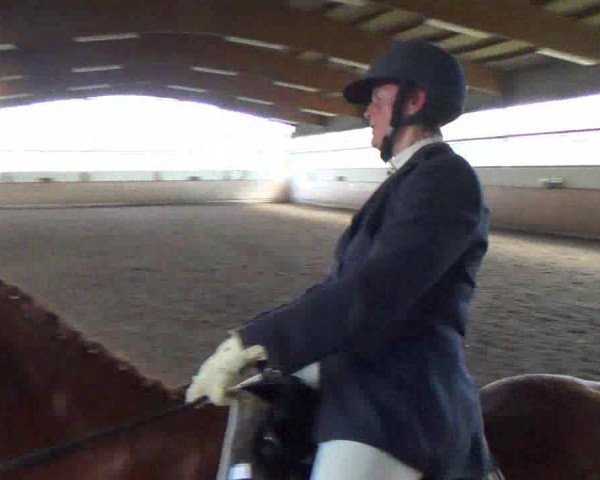 dressage horse Soleil Rouge 2 (Trakehner, 2003, from Chardonnay)