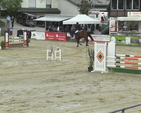 Reitturnier Kurtscheid 2021