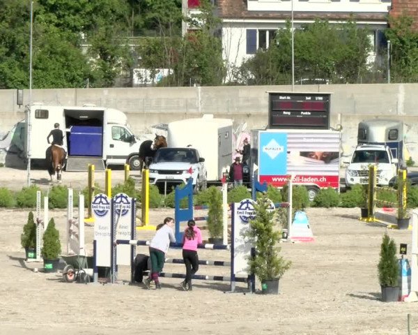 Reitturnier Basel Schänzli 2021