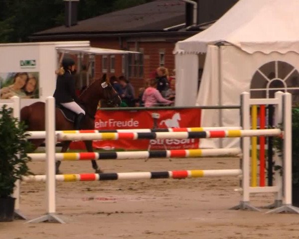 jumper Top Dancer (German Riding Pony, 2001, from Top Nantario)
