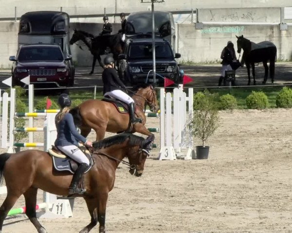Reitturnier Basel Schänzli 2021