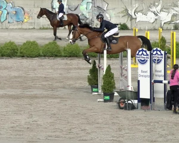 Reitturnier Basel Schänzli 2021