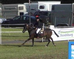Jumper Milan (New Forest Pony, 1993, from Mambo Moscan)