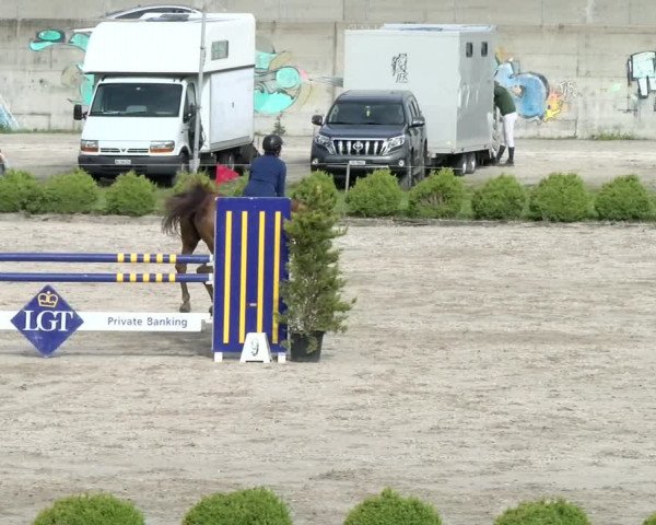 Reitturnier Basel Schänzli 2021