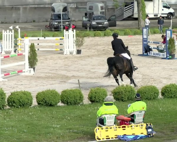 Reitturnier Basel Schänzli 2021