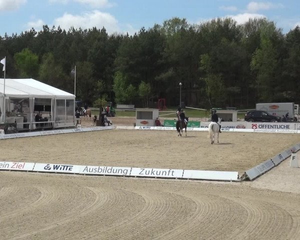 Reitturnier Rastede-Nethen 2021