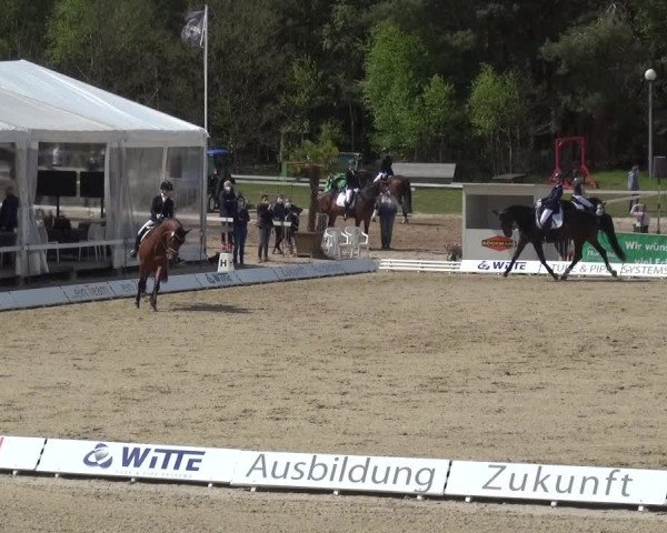 Reitturnier Rastede-Nethen 2021