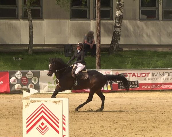 Reitturnier Kurtscheid 2021