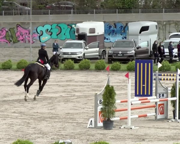 Reitturnier Basel Schänzli 2021