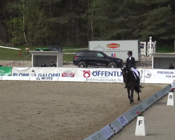 Reitturnier Rastede-Nethen 2021