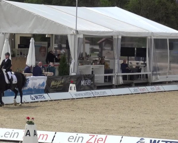 Reitturnier Rastede-Nethen 2021