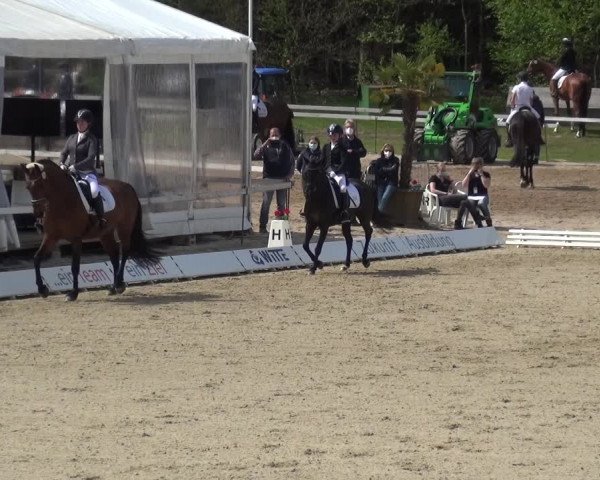 Reitturnier Rastede-Nethen 2021