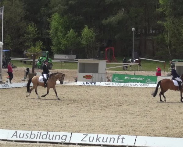 Reitturnier Rastede-Nethen 2021