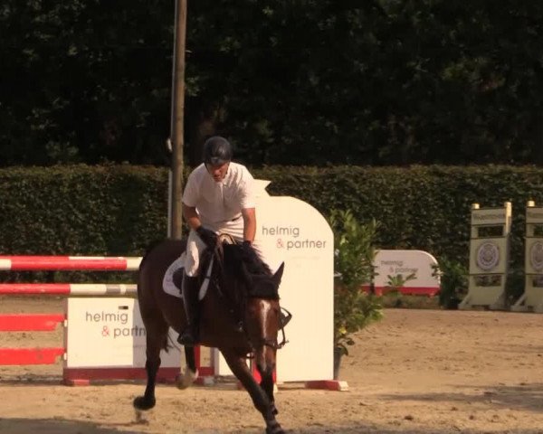 Springpferd Pia Lotta 27 (Deutsches Sportpferd, 2006, von Pessoa VDL)