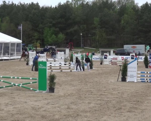 Reitturnier Rastede-Nethen 2021