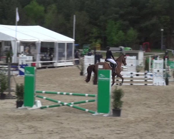 Reitturnier Rastede-Nethen 2021