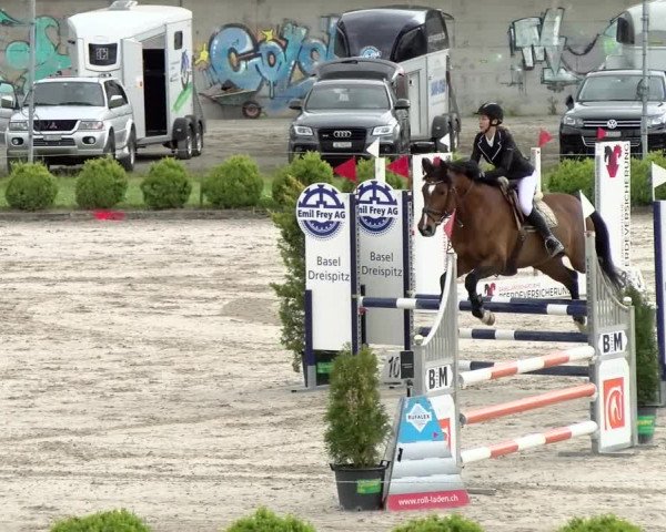 Reitturnier Basel Schänzli 2021