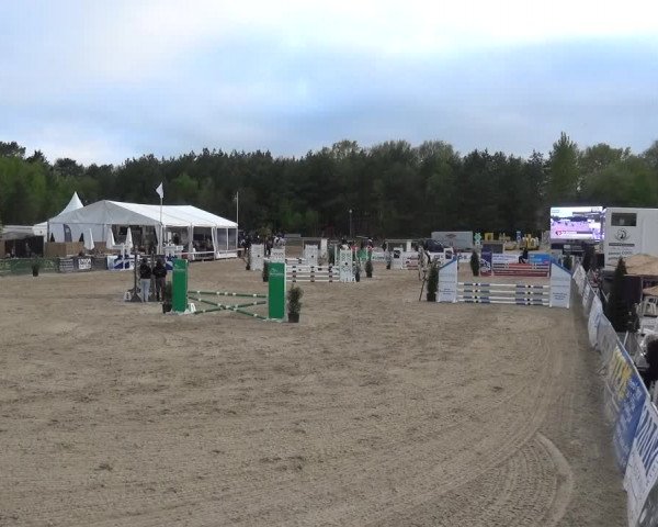 Reitturnier Rastede-Nethen 2021