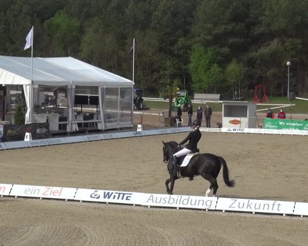 Reitturnier Rastede-Nethen 2021