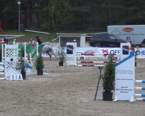 Reitturnier Rastede-Nethen 2021