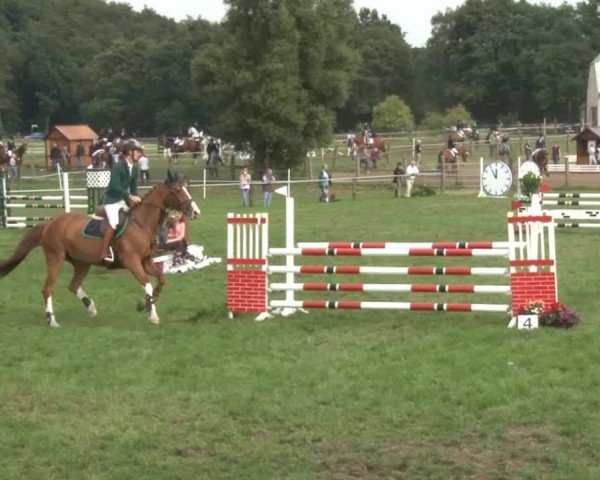broodmare Twister 115 (Holsteiner, 2003, from Leonce)