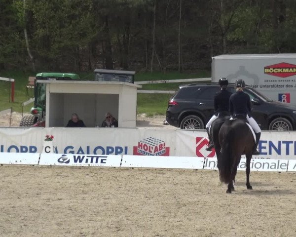 Reitturnier Rastede-Nethen 2021