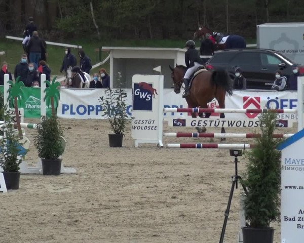 Reitturnier Rastede-Nethen 2021