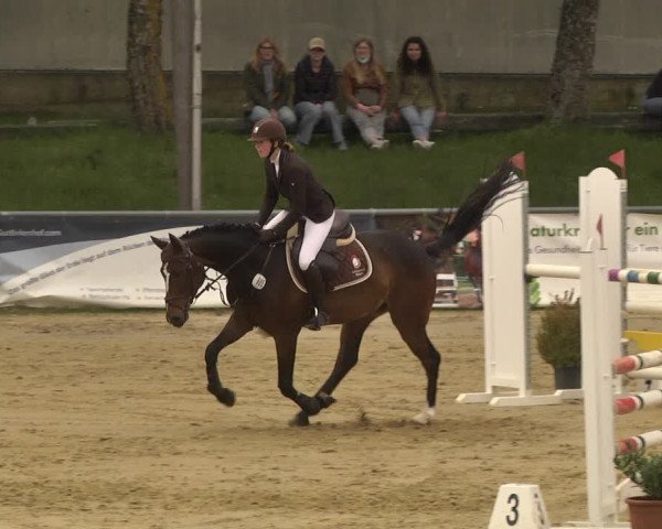 Reitturnier Kurtscheid 2021